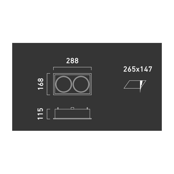 FUSION R21 W C01 OPRAWA WPUSZCZANA 2XQR111 ALUMINIUM/CZARNY 06.3102.294.008