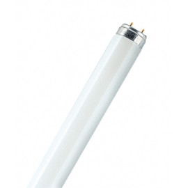 Świetlówka liniowa T8 - 58W 6500K (zimno-biała) G13 - L58/865 LUMILUX Osram  - sprzedaż w pełnych kartonach 25 szt.