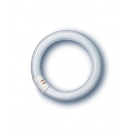 Świetlówka kołowa T9 - 32W 4000K (neutralna-biała) G10q - L32/840C LUMILUX Osram
