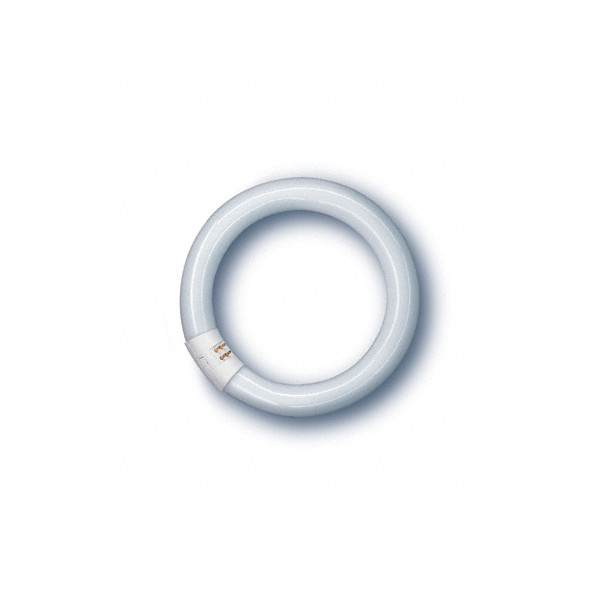 Świetlówka kołowa T9 - 32W 4000K (neutralna-biała) G10q - L32/840C LUMILUX Osram