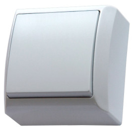 ŁN-1B/00 łącznik pojedynczy N/T, biały,  BIS