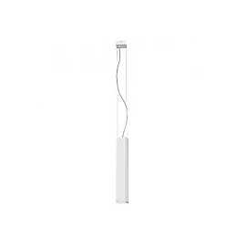 BRYCE WHITE I ZWIS S 5673