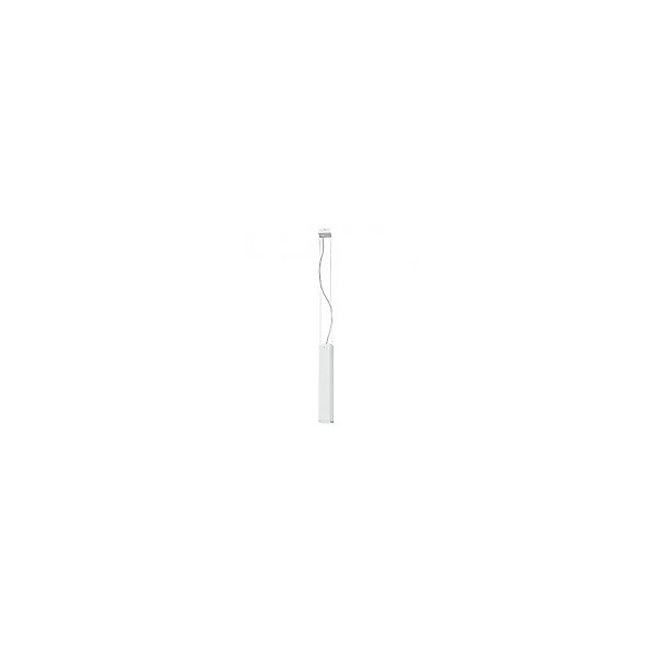 BRYCE WHITE I ZWIS S 5673