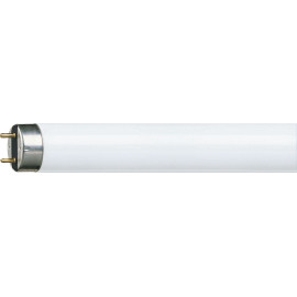 Świetlówka liniowa T8 - 30W 4000K G13 - Master TL-D 30W/840 Cool White Philips