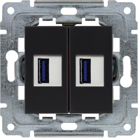 450957 Ładowarka USB podwójnaczarny