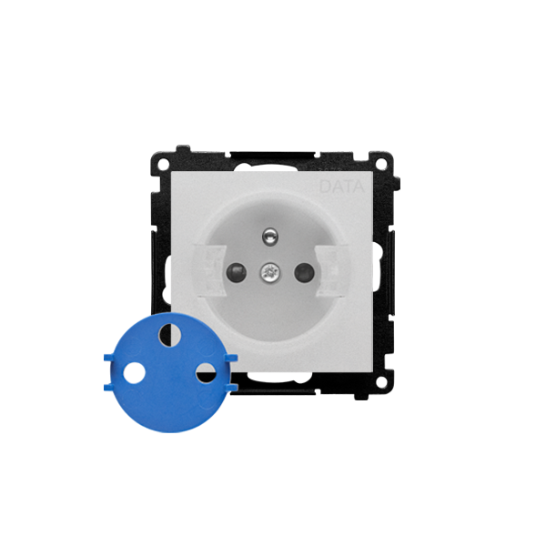 TGD1CZ.01/143 Gniazdo DATA z kluczem uprawniającym (moduł) 16 A, 250 V~, szybkozłącza, Aluminium mat - Simon 55