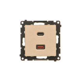 TEC2CAQ.01/144 Ładowarka USB typ A+C (moduł), Szampański mat - Simon 55