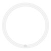 Świetlówka kołowa T9 LED - 24W (40W) 4000K (neutralna-biała) G10q - LED TUBE T9 C 40 EM Ledvance