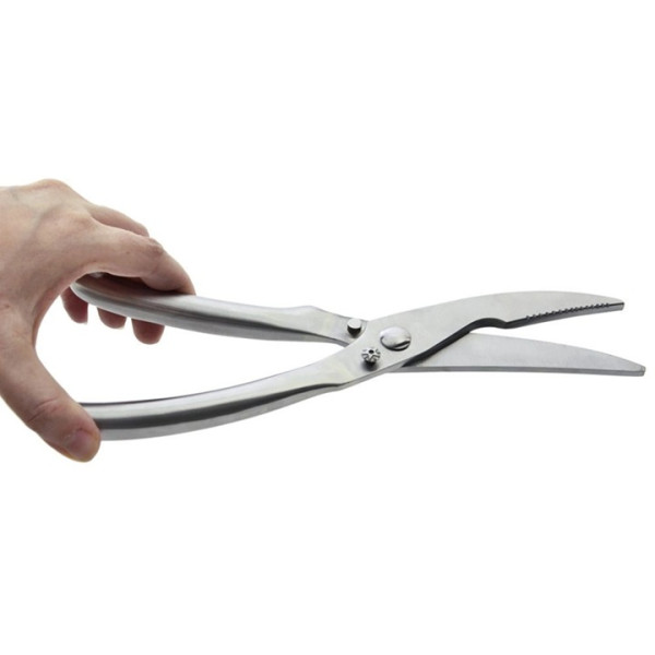 Nożyce do drobiu stalowe 25 cm - 141418 Orion