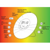 Radiobudzik i lampka nocna Magic Clock XS005 Nilsen