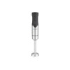 Blender ręczny Blaupunkt HBD211 1100 W srebrno-czarny